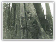 There were some big trees before the 1910 fire.