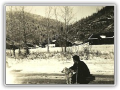All camps had a dog