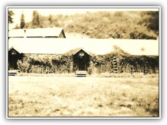 Idaho 201-a 001