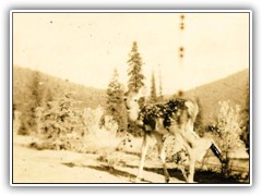Idaho 44-a 001