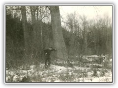 Small stick of wood