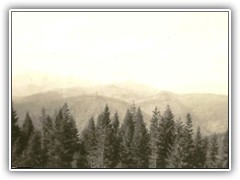 Wild country Northern Idaho 38-39