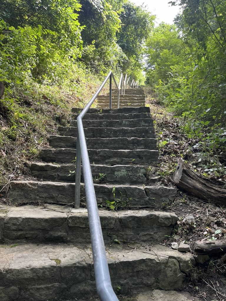 Historic stone staircase at Beatty Park